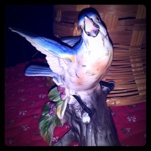 Sale Price Firm Beautiful vintage blue bird 143